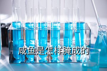 咸鱼是怎样腌成的