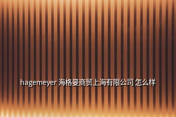 hagemeyer 海格曼商贸上海有限公司 怎么样