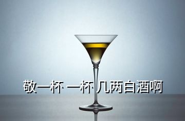 敬一杯 一杯 几两白酒啊