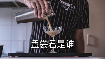 孟尝君是谁