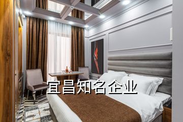 宜昌知名企业