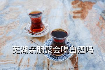 芜湖亲朋聚会喝白酒吗