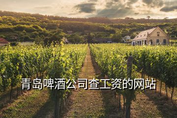 青岛啤酒公司查工资的网站