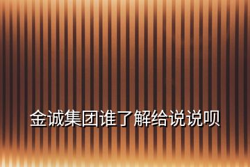 金诚集团谁了解给说说呗