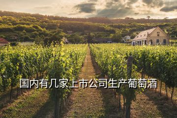 国内有几家上市公司生产葡萄酒