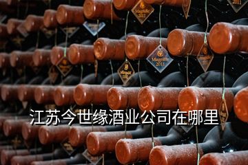 江苏今世缘酒业公司在哪里