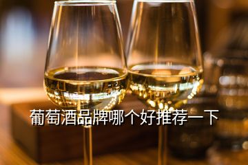 葡萄酒品牌哪个好推荐一下