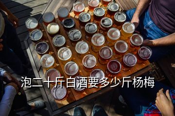 泡二十斤白酒要多少斤杨梅