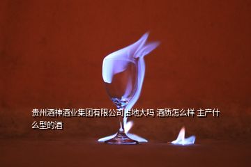 贵州酒神酒业集团有限公司占地大吗 酒质怎么样 主产什么型的酒