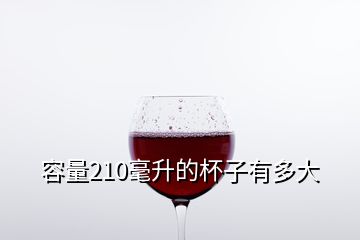 容量210毫升的杯子有多大