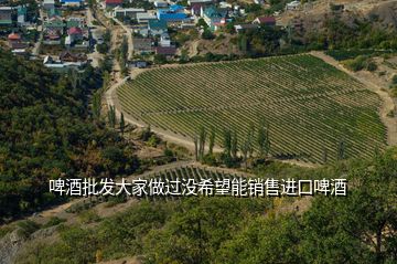 啤酒批发大家做过没希望能销售进口啤酒