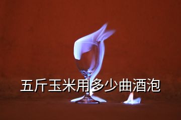 五斤玉米用多少曲酒泡