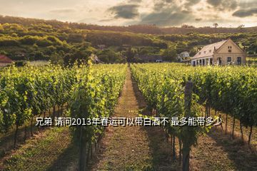 兄弟 请问2013年春运可以带白酒不 最多能带多少