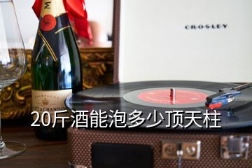 20斤酒能泡多少顶天柱