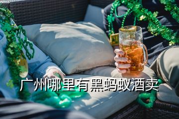 广州哪里有黑蚂蚁酒卖