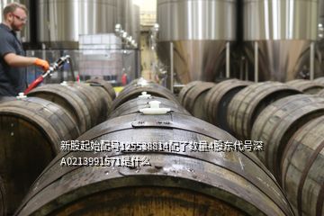 新股起始配号125538814配了数量4股东代号深A0213991571是什么