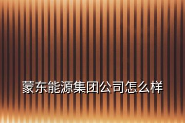 蒙东能源集团公司怎么样