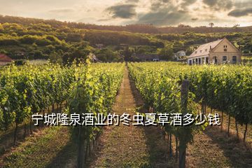 宁城隆泉酒业的冬虫夏草酒多少钱