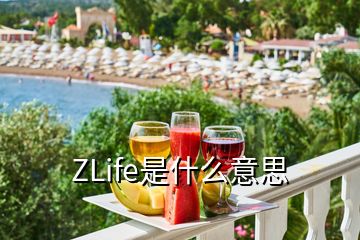 ZLife是什么意思