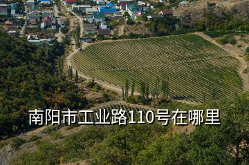 南阳市工业路110号在哪里