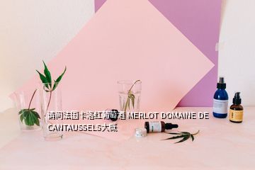 请问法国卡洛红葡萄酒 MERLOT DOMAINE DE CANTAUSSELS大概