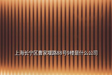 上海长宁区曹家堰路88号9楼是什么公司