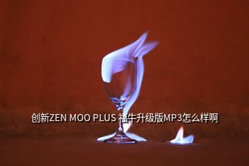 创新ZEN MOO PLUS 福牛升级版MP3怎么样啊