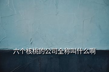 六个核桃的公司全称叫什么啊