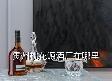 贵州桃花源酒厂在哪里