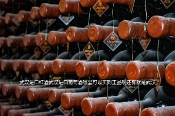 武汉进口红酒武汉进口葡萄酒哪里可以买到正品啊还有就是武汉