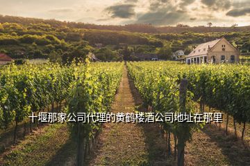 十堰那家公司代理的黄鹤楼酒公司地址在那里