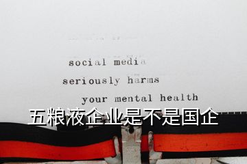 五粮液企业是不是国企