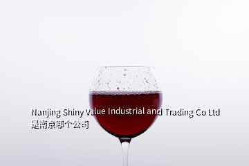 Nanjing Shiny Value Industrial and Trading Co Ltd 是南京哪个公司