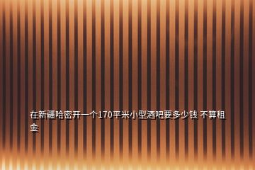 在新疆哈密开一个170平米小型酒吧要多少钱 不算租金