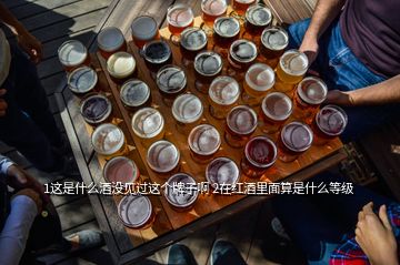 1这是什么酒没见过这个牌子啊 2在红酒里面算是什么等级