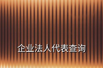 企业法人代表查询