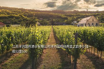 江苏洋河国府酒业有限公司洋河国府经典蓝之韵多少钱一瓶52度500