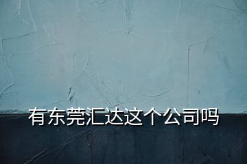 有东莞汇达这个公司吗