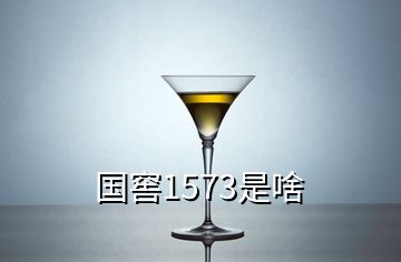 国窖1573是啥