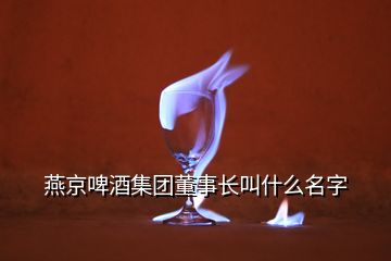 燕京啤酒集团董事长叫什么名字