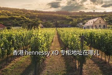 香港 hennessy XO 专柜地址在哪儿