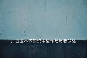 广 西 玉 林 传 销 资 本 运 作 经 历 者 叙 述