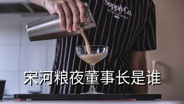 宋河粮夜董事长是谁