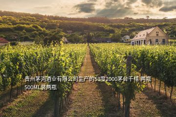 贵州茅河酒业有限公司生产的53度2000茅台千禧 两瓶500ML装两瓶