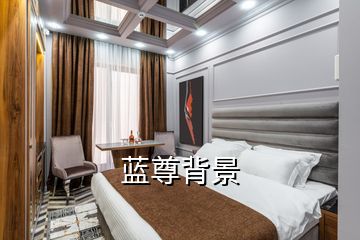 蓝尊背景