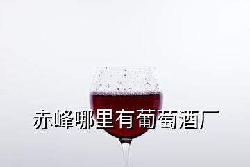 赤峰哪里有葡萄酒厂