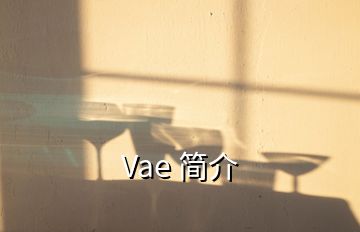 Vae 简介