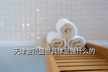 天津金顶盛世具体是做什么的