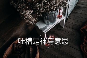 吐槽是神马意思