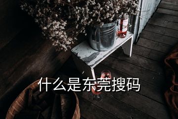 什么是东莞搜码